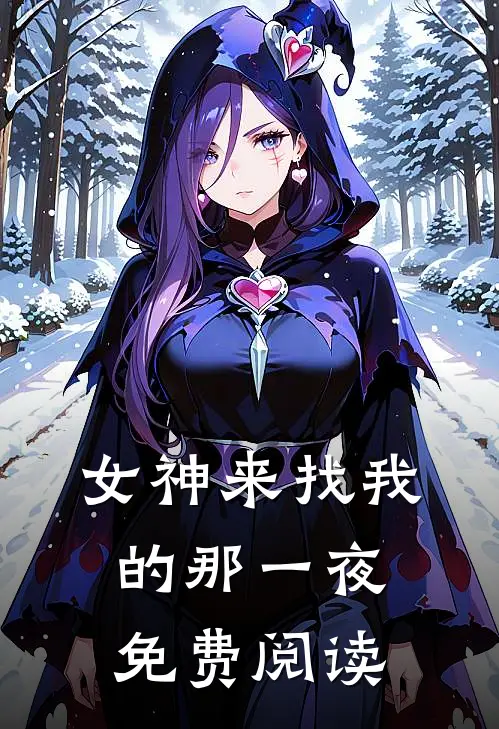 女神来找我的那一夜免费阅读